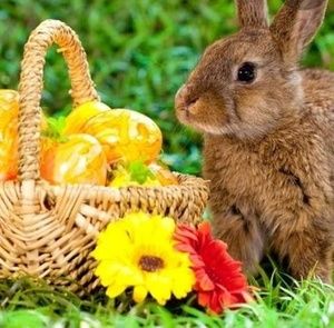 Meet your Posher, Becky